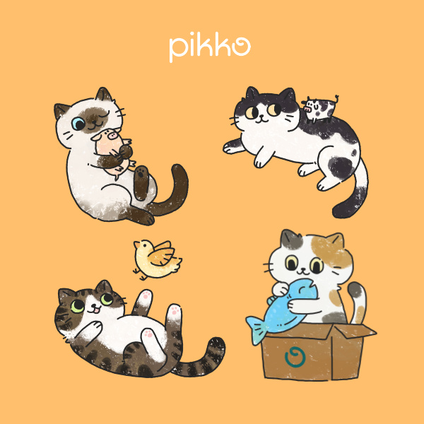 2606_pikko01